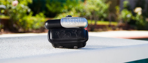 KINGII-WEARABLE-HINCHABLE-3